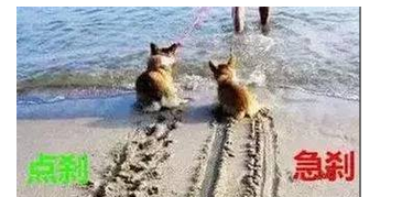 原來(lái)老司機踩剎車(chē)都有技巧 難怪又省油又安全!