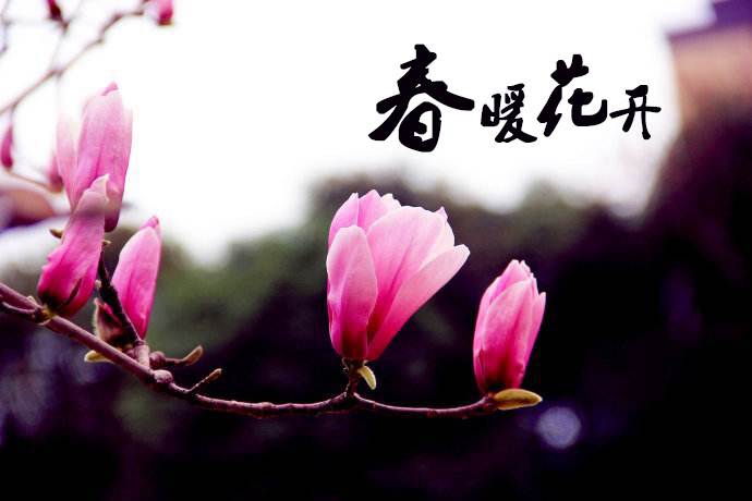 春暖花開(kāi) 教你春季如何做汽車(chē)保養！