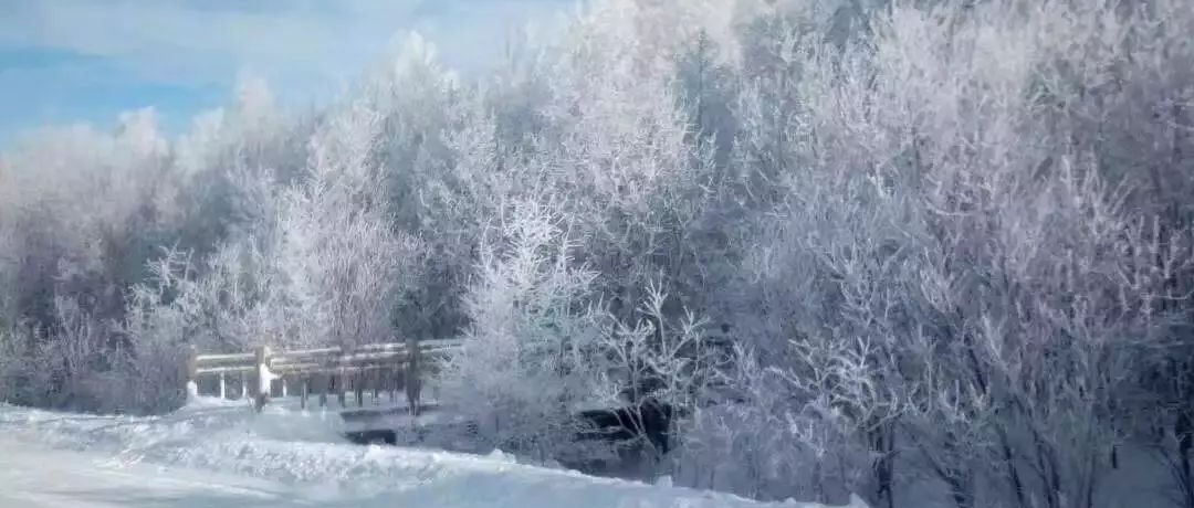 奕行記|奕路向北，駛向雪國阿爾山