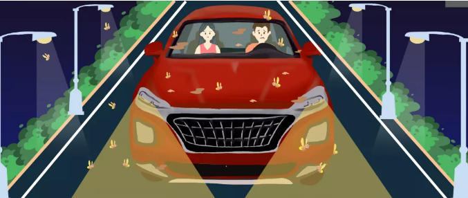安全清除車(chē)身飛蟲(chóng)，僅需十分鐘